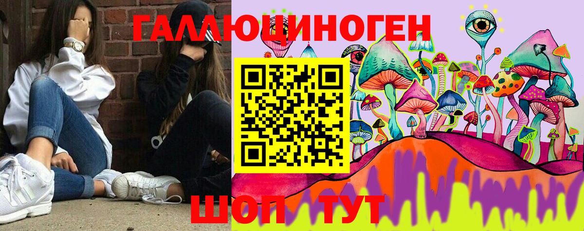 Сокол  Псилоцибиновые грибы мухоморы  Вход с VPN  Псилоцибиновые грибы Psilocybe 
