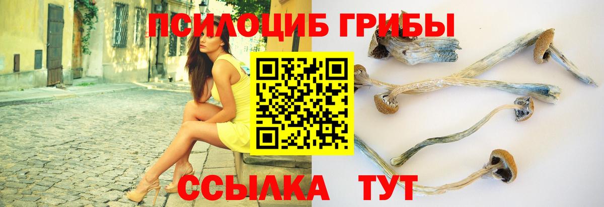 Галлюциногенные грибы мухоморы Сокол